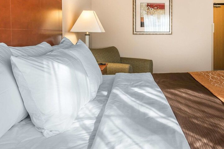 1 King Bed (2 of 8)