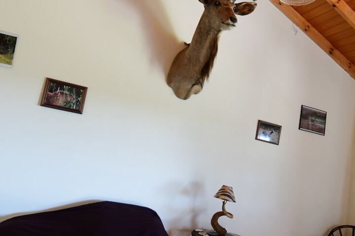 Room 3 of 32