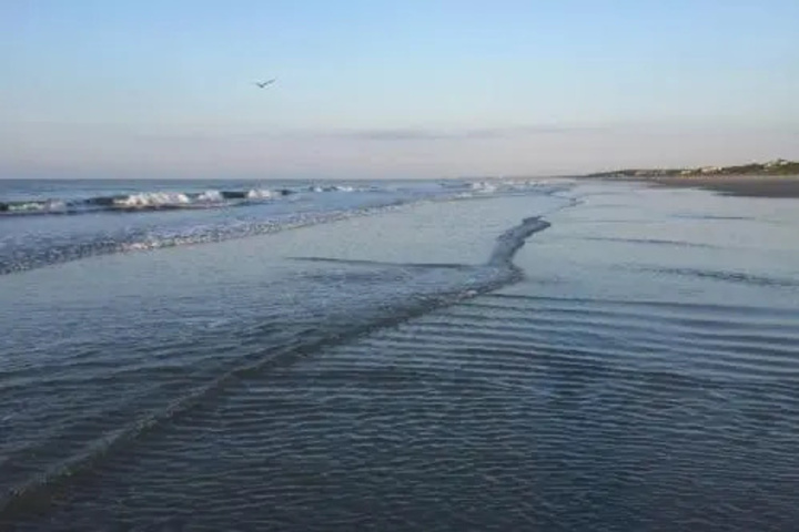 Beach 15 of 24
