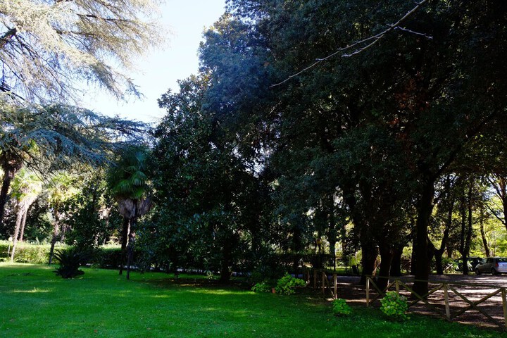 Property Grounds 20 of 37
