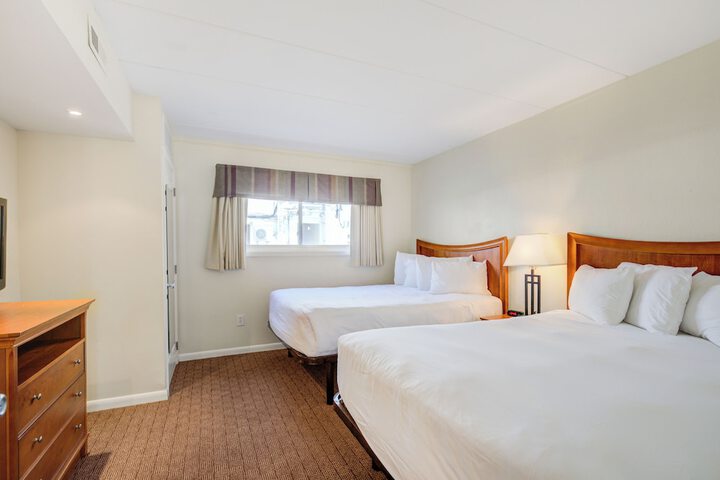 Traditional Suite 1 King Bed with Sofa Bed (18 of 23)