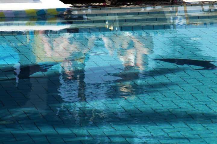 Pool 47 of 58