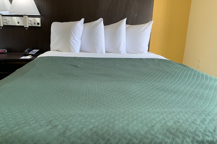 1 Queen Bed (31 of 36)