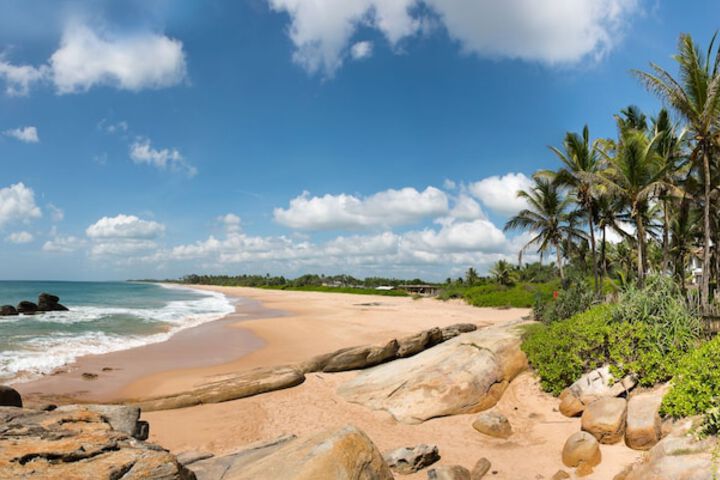 Beach 58 of 88
