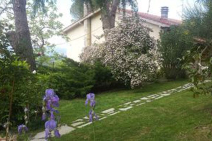 Property Grounds 24 of 27