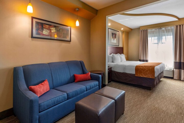 Standard | King Bed (4 of 15)