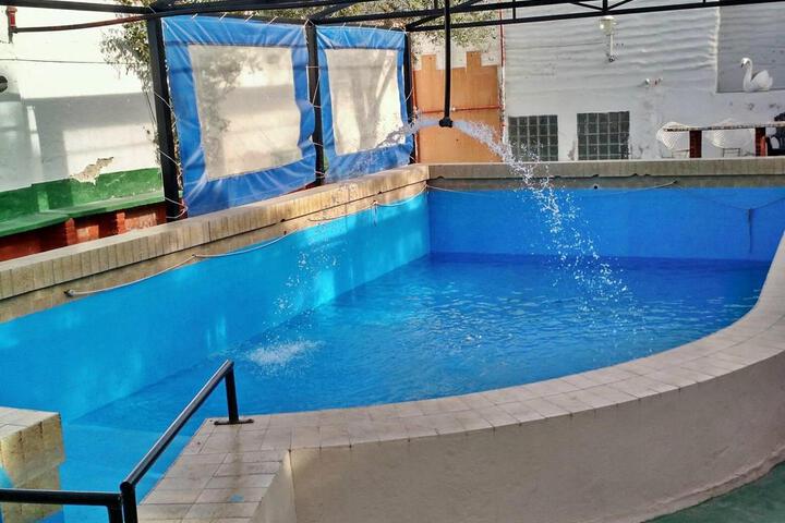Pool 3 of 19