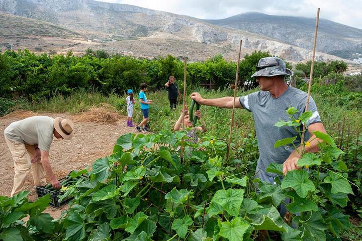 Spa and Wellness Pictures