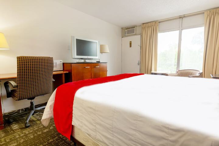 2 Double Beds (24 of 28)