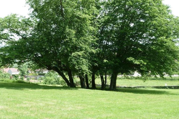 Property Grounds 40 of 52