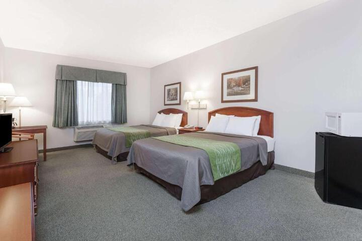 2 Queen Beds (4 of 8)