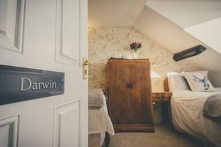 Room 14 of 31