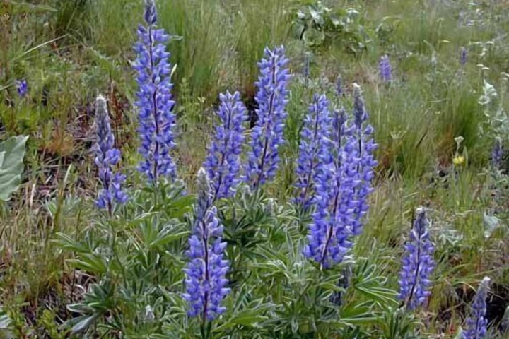 Outdoor Activities 96 of 188