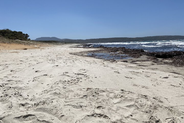 Beach 28 of 46