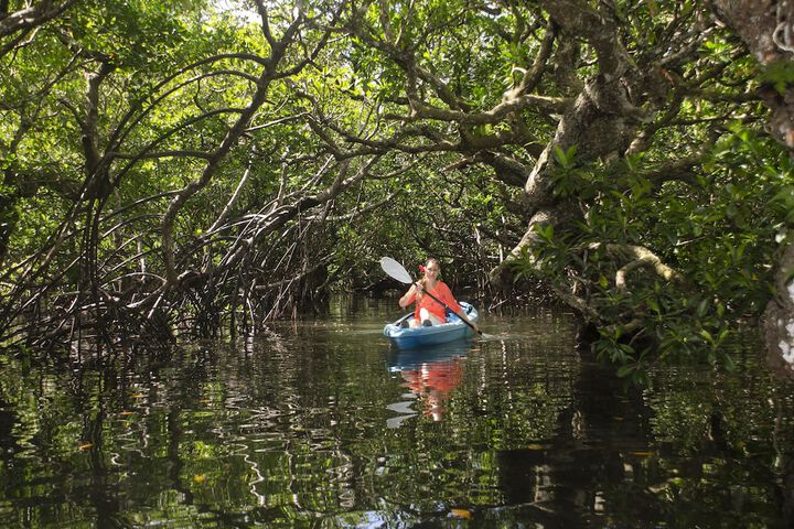 Kayaking