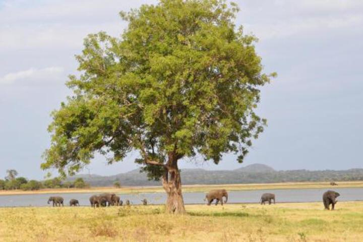 Spa and Wellness Pictures