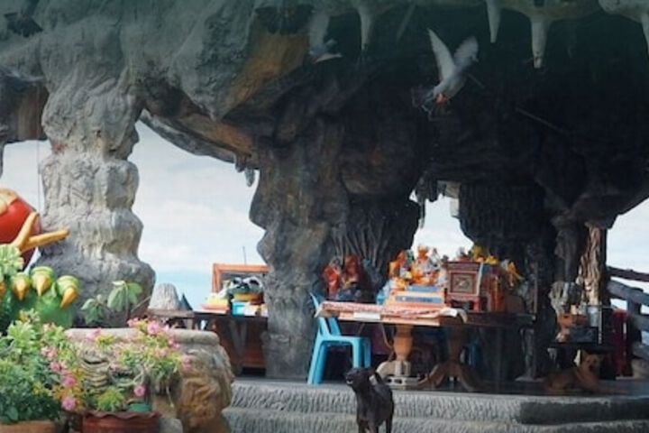 Ecotours