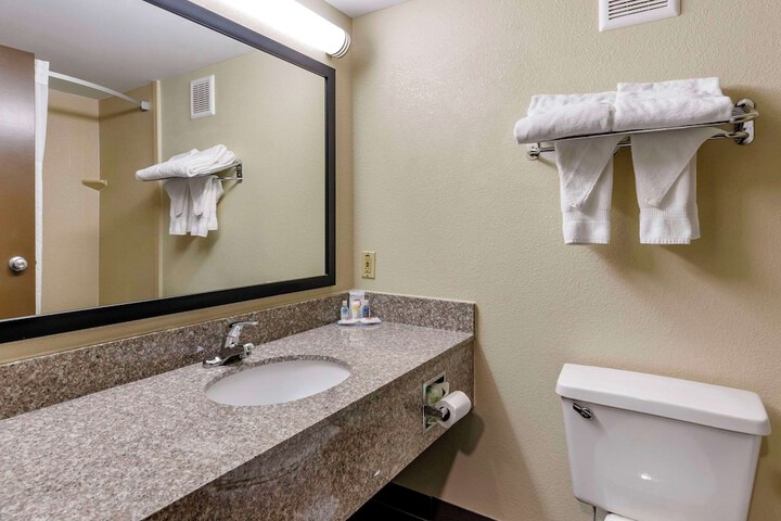 1 King Bed Accessible (8 of 23)