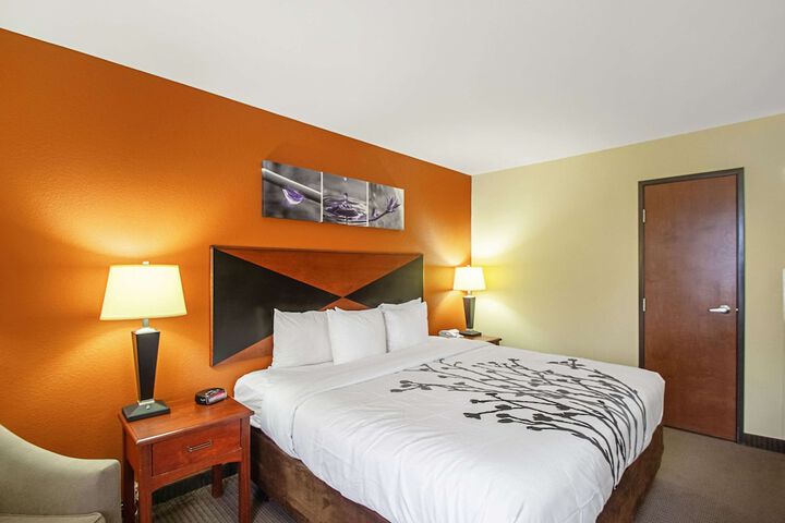 1 King Bed (12 of 15)