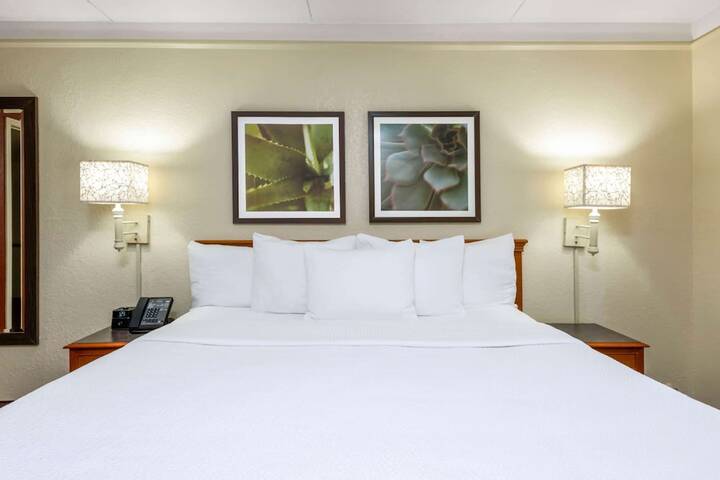 1 King Bed Accessible (3 of 24)