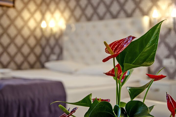 HOTEL SVETLITSA
