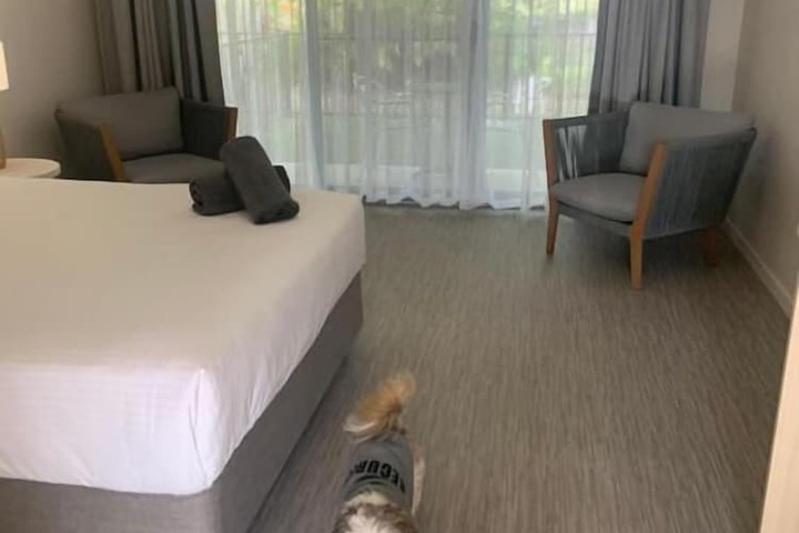 Room 6 of 38