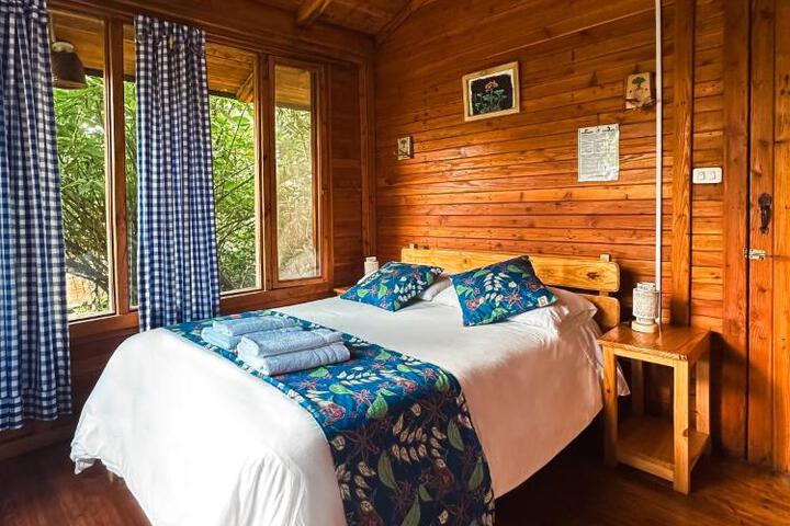 Hotel El Abrazo del Arbol