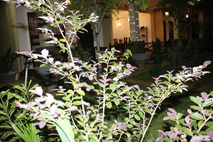 Hotel 17 of 22