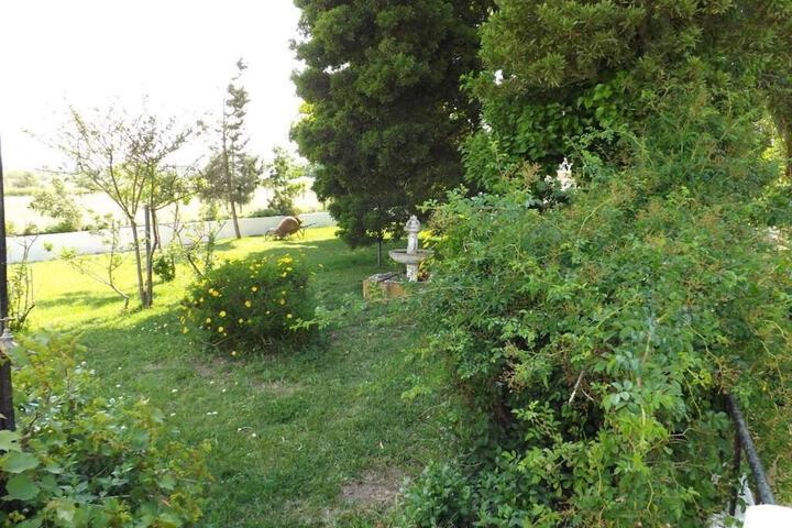 Property Grounds 33 of 44