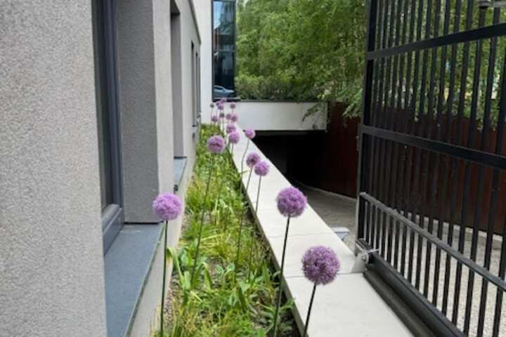 Accessible parking