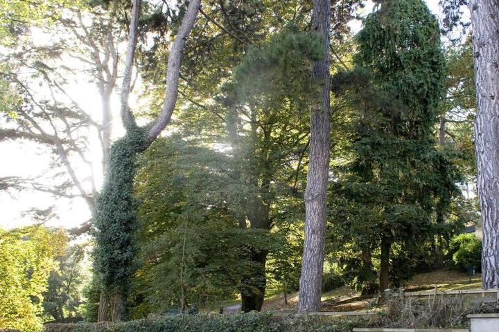 2 Hedgemead Court