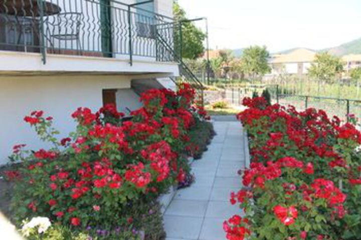 Hotel Exterior 59 of 256