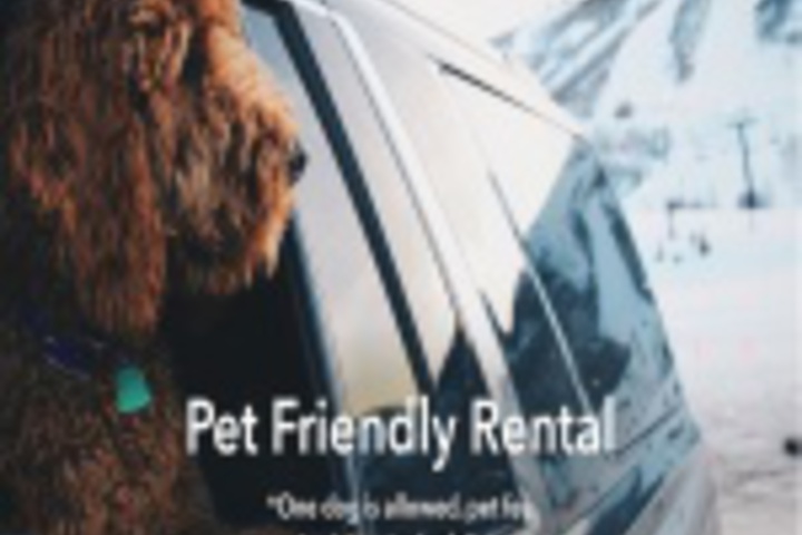 Pet Friendly 25 of 108