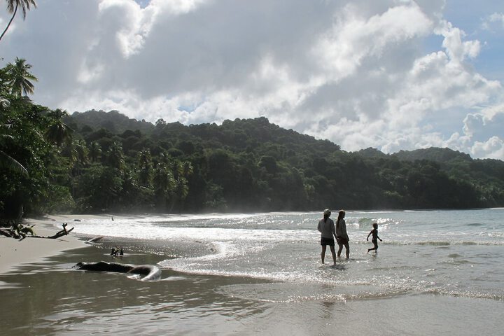 Beach 46 of 49