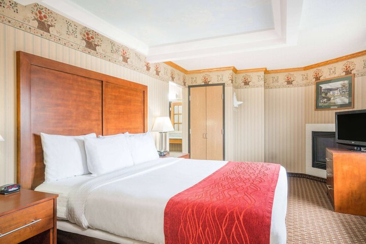 1 King Bed (7 of 8)