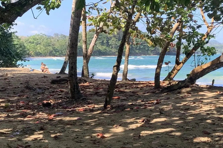 Beach 6 of 12