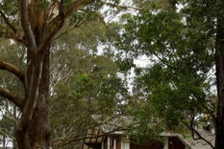 Property Grounds 159 of 177