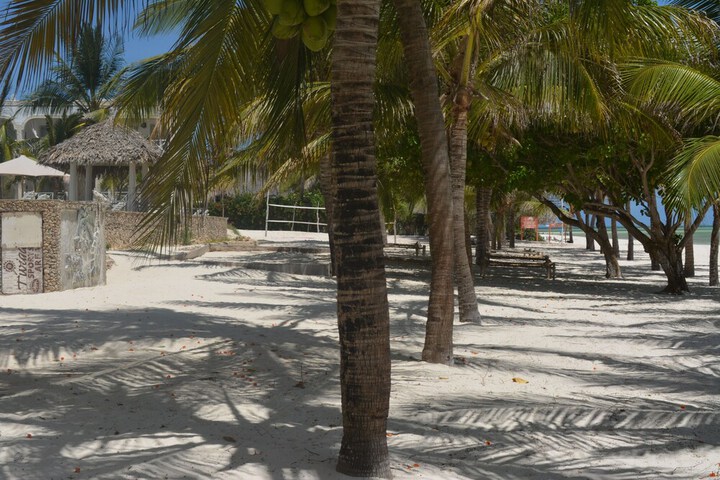 Beach 30 of 39