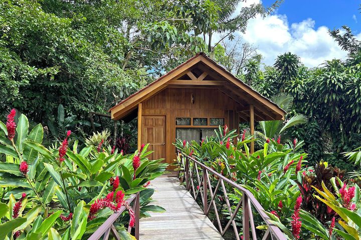 Natural Green Lodge in La Fortuna