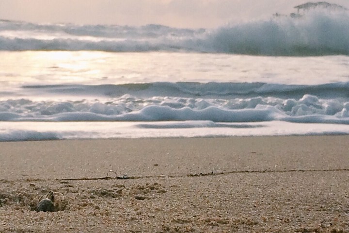 Beach 34 of 44