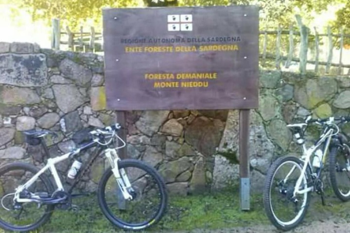 Bicycling