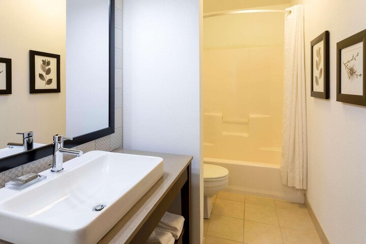 1 King Bed Suite (4 of 13)