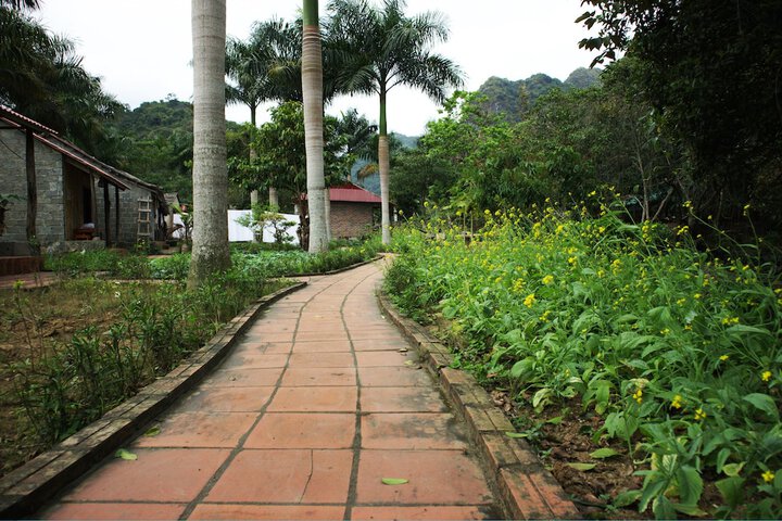Property Grounds 3 of 8