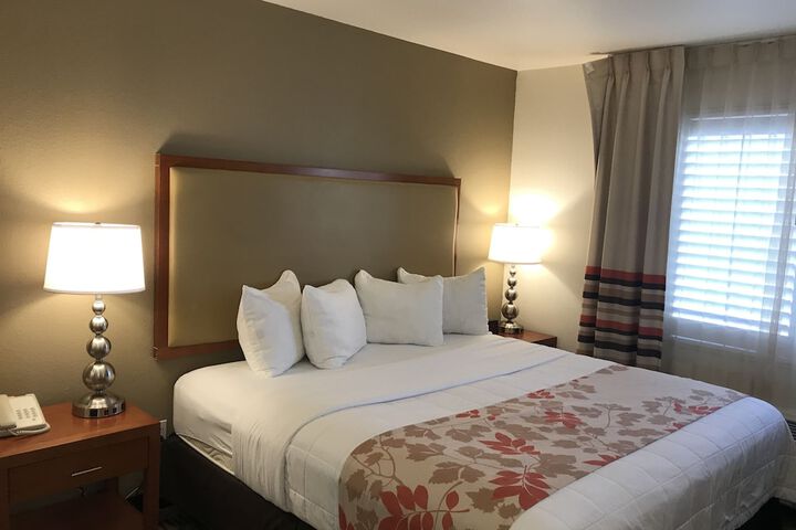 1 King Bed Mobility Hearing Impaired Accesible Studio Suite (6 of 17)