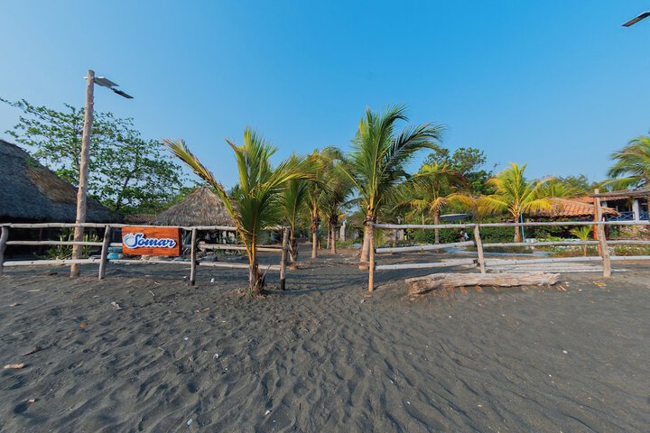 Beach 87 of 100
