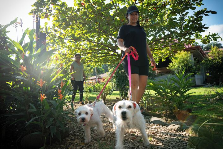 Pet Friendly 48 of 105