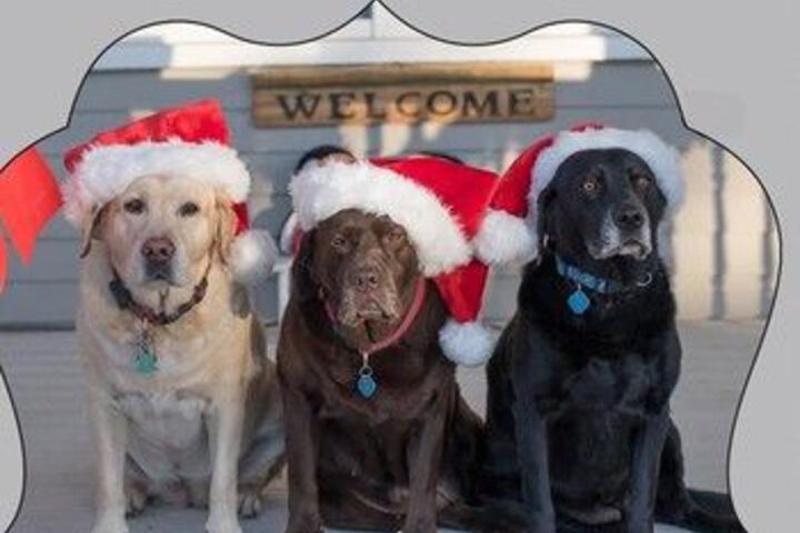 Hotel Interior 58 of 61