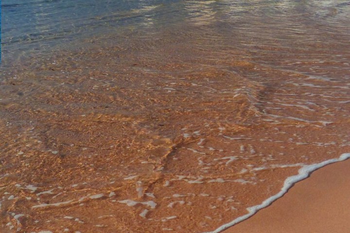 Beach 37 of 45
