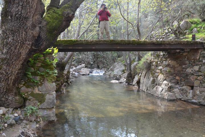 Spa and Wellness Pictures