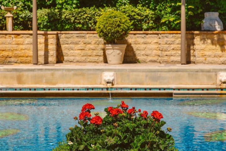Pool 61 of 112